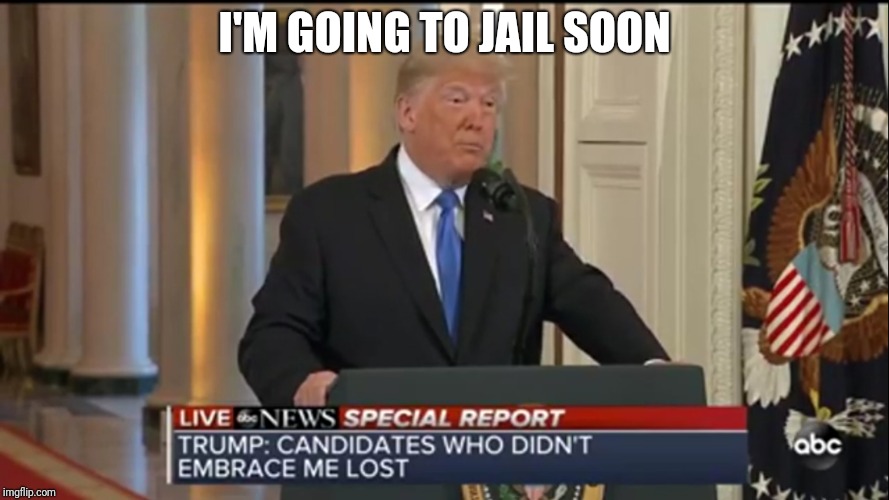 Midterm results are in | I'M GOING TO JAIL SOON | image tagged in overlord,trump,donald,orangeface | made w/ Imgflip meme maker