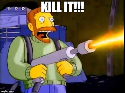 Kill it with fire | KILL IT!!! | image tagged in kill it with fire | made w/ Imgflip meme maker