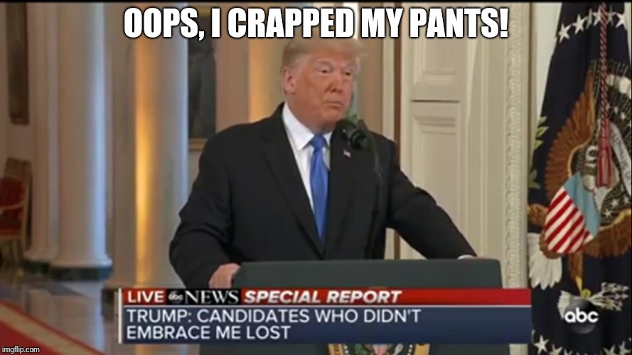 Midterm results are here | OOPS, I CRAPPED MY PANTS! | image tagged in overlord,trump,donald trump | made w/ Imgflip meme maker