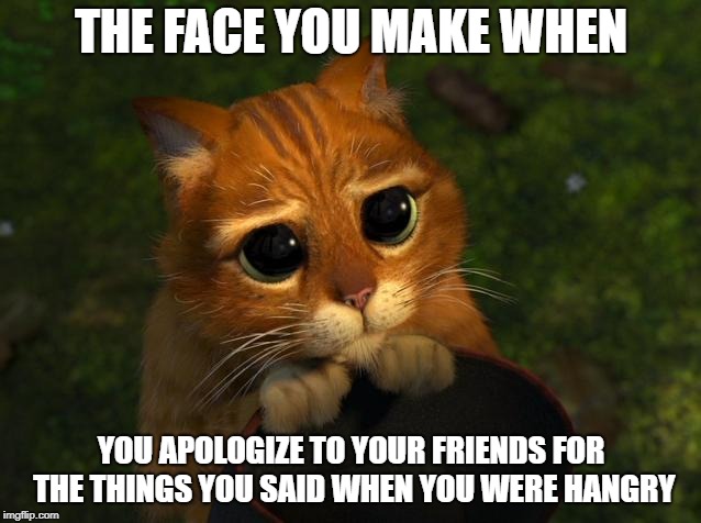 THE FACE YOU MAKE WHEN; YOU APOLOGIZE TO YOUR FRIENDS FOR THE THINGS YOU SAID WHEN YOU WERE HANGRY | image tagged in hangry | made w/ Imgflip meme maker