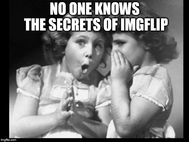 secret | NO ONE KNOWS THE SECRETS OF IMGFLIP | image tagged in secret | made w/ Imgflip meme maker