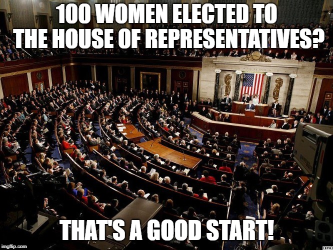 CONGRESS | 100 WOMEN ELECTED TO THE HOUSE OF REPRESENTATIVES? THAT'S A GOOD START! | image tagged in congress | made w/ Imgflip meme maker
