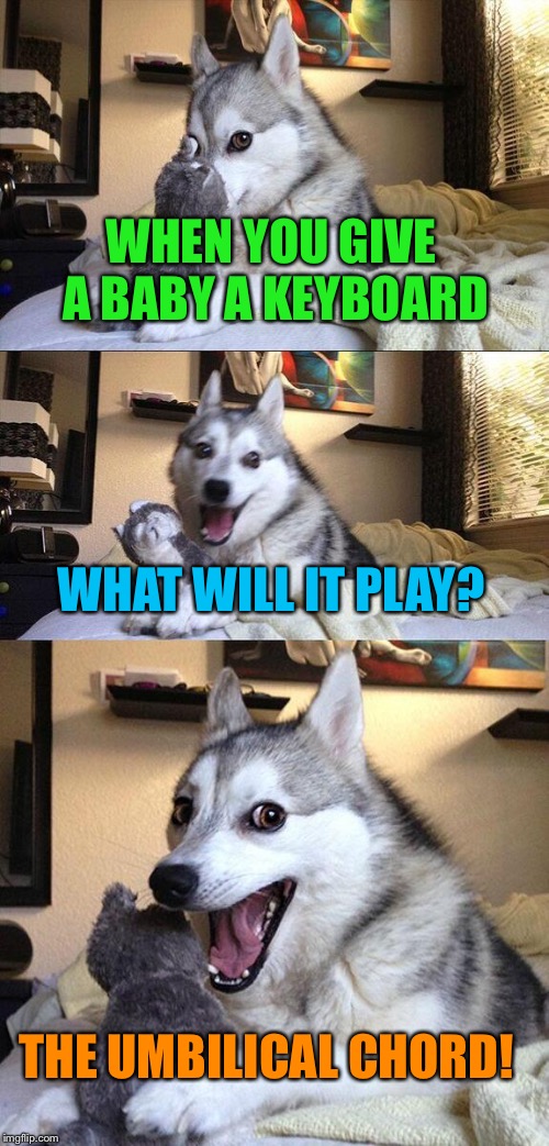 When you give a baby a keyboard...  | WHEN YOU GIVE A BABY A KEYBOARD; WHAT WILL IT PLAY? THE UMBILICAL CHORD! | image tagged in memes,funny memes,bad pun dog | made w/ Imgflip meme maker