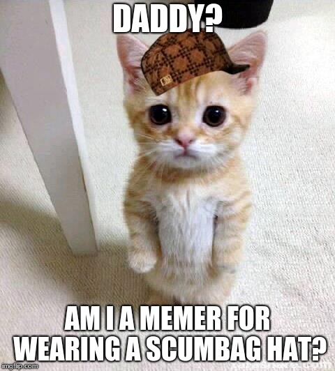 Cute Cat | DADDY? AM I A MEMER FOR WEARING A SCUMBAG HAT? | image tagged in memes,cute cat,scumbag | made w/ Imgflip meme maker