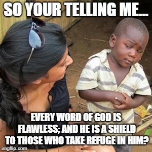 so youre telling me | SO YOUR TELLING ME... EVERY WORD OF GOD IS FLAWLESS; AND HE IS A SHIELD TO THOSE WHO TAKE REFUGE IN HIM? | image tagged in so youre telling me | made w/ Imgflip meme maker