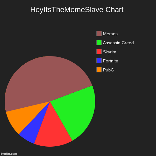 HeyItsTheMemeSlave Chart | PubG, Fortnite, Skyrim, Assassin Creed, Memes | image tagged in funny,pie charts | made w/ Imgflip chart maker