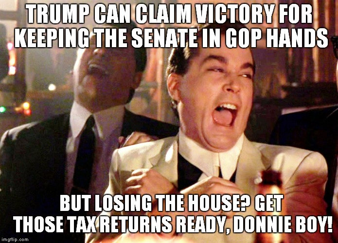 Not Even Mob Bosses Mess With The IRS.. | TRUMP CAN CLAIM VICTORY FOR KEEPING THE SENATE IN GOP HANDS; BUT LOSING THE HOUSE? GET THOSE TAX RETURNS READY, DONNIE BOY! | image tagged in memes,good fellas hilarious | made w/ Imgflip meme maker