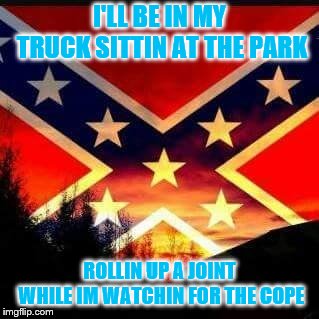 rebel flag | I'LL BE IN MY TRUCK SITTIN AT THE PARK; ROLLIN UP A JOINT WHILE IM WATCHIN FOR THE COPE | image tagged in rebel flag | made w/ Imgflip meme maker