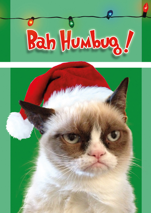 High Quality Bah Humbug Grumpy Cat Blank Meme Template