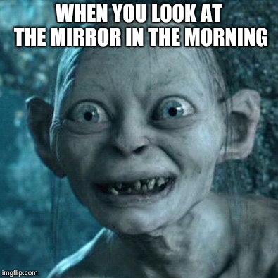 Gollum Meme | WHEN YOU LOOK AT THE MIRROR IN THE MORNING | image tagged in memes,gollum | made w/ Imgflip meme maker