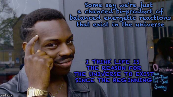 Roll Safe Think About It Meme | Some say we're just a chanced bi-product of balanced energetic reactions that exist in the universe I THINK LIFE IS THE REASON FOR THE UNIVE | image tagged in memes,roll safe think about it | made w/ Imgflip meme maker