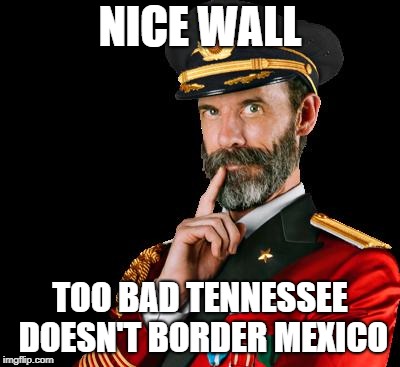 captain obvious | NICE WALL TOO BAD TENNESSEE DOESN'T BORDER MEXICO | image tagged in captain obvious | made w/ Imgflip meme maker