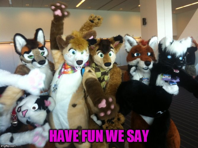 Furries | HAVE FUN WE SAY | image tagged in furries | made w/ Imgflip meme maker