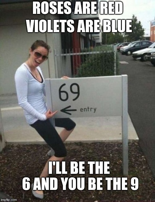 69 street sign | ROSES ARE RED; VIOLETS ARE BLUE; I'LL BE THE 6 AND YOU BE THE 9 | image tagged in 69 street sign | made w/ Imgflip meme maker