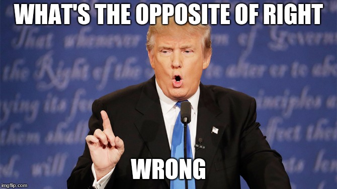 Donald Trump Wrong | WHAT'S THE OPPOSITE OF RIGHT; WRONG | image tagged in donald trump wrong | made w/ Imgflip meme maker