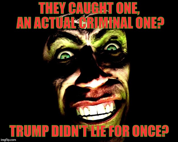 . | THEY CAUGHT ONE, AN ACTUAL CRIMINAL ONE? TRUMP DIDN'T LIE FOR ONCE? | image tagged in g-man from half-life | made w/ Imgflip meme maker