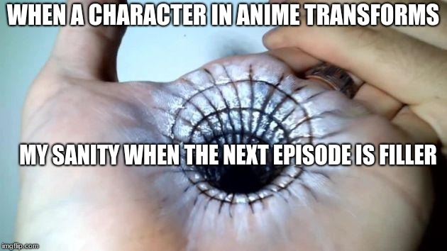 Blackhole | WHEN A CHARACTER IN ANIME TRANSFORMS; MY SANITY WHEN THE NEXT EPISODE IS FILLER | image tagged in black hole | made w/ Imgflip meme maker
