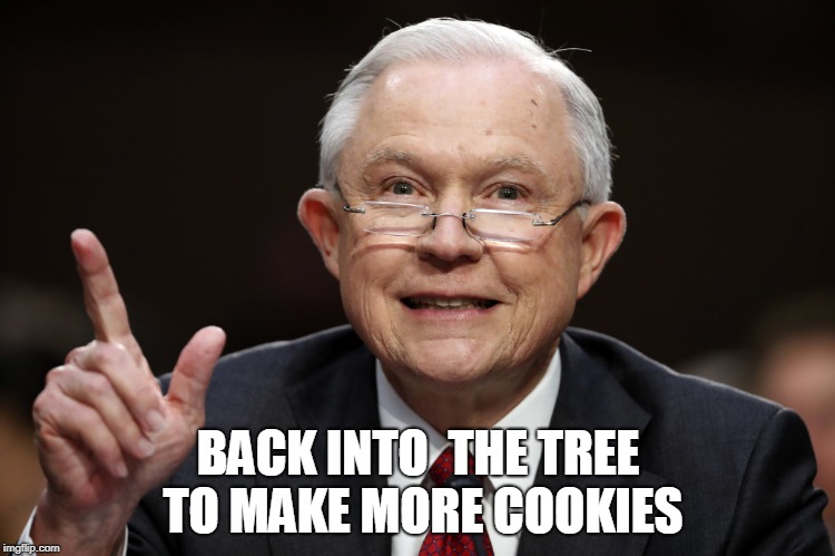 Beauregard Sessions | BACK INTO  THE TREE TO MAKE MORE COOKIES | image tagged in beauregard sessions | made w/ Imgflip meme maker