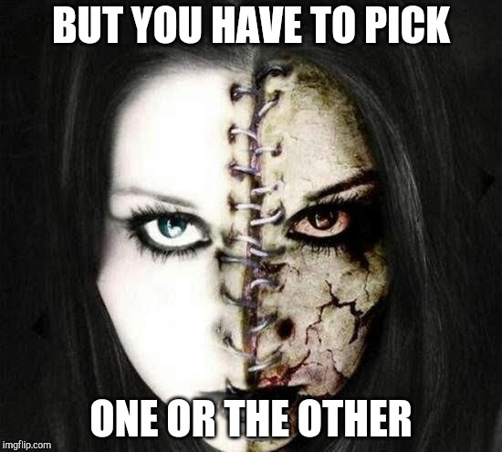BUT YOU HAVE TO PICK ONE OR THE OTHER | made w/ Imgflip meme maker