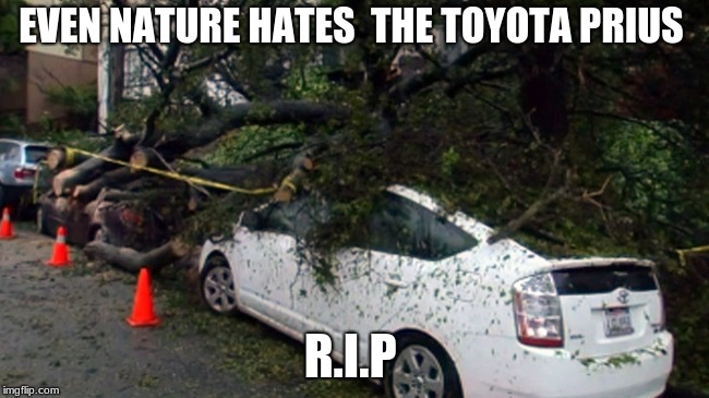 EVEN NATURE HATES  THE TOYOTA PRIUS; R.I.P | image tagged in oh no | made w/ Imgflip meme maker