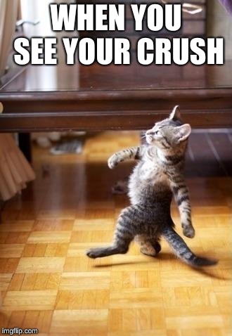 Cool Cat Stroll | WHEN YOU SEE YOUR CRUSH | image tagged in memes,cool cat stroll | made w/ Imgflip meme maker