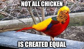 Chicken God | NOT ALL CHICKEN IS CREATED EQUAL | image tagged in chicken god | made w/ Imgflip meme maker