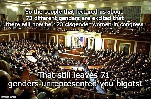 Cisgender Congress | So the people that lectured us about 73 different genders are excited that there will now be 123 cisgender women in congress; That still leaves 71 genders unrepresented you bigots! | image tagged in congress,gender identity | made w/ Imgflip meme maker