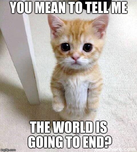 Cute Cat | YOU MEAN TO TELL ME; THE WORLD IS GOING TO END? | image tagged in memes,cute cat | made w/ Imgflip meme maker