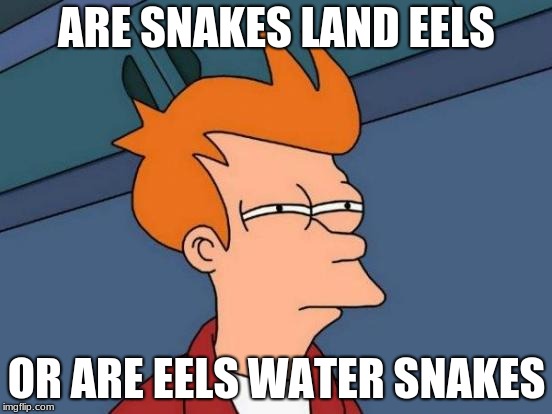 just think about it | ARE SNAKES LAND EELS; OR ARE EELS WATER SNAKES | image tagged in memes,futurama fry | made w/ Imgflip meme maker