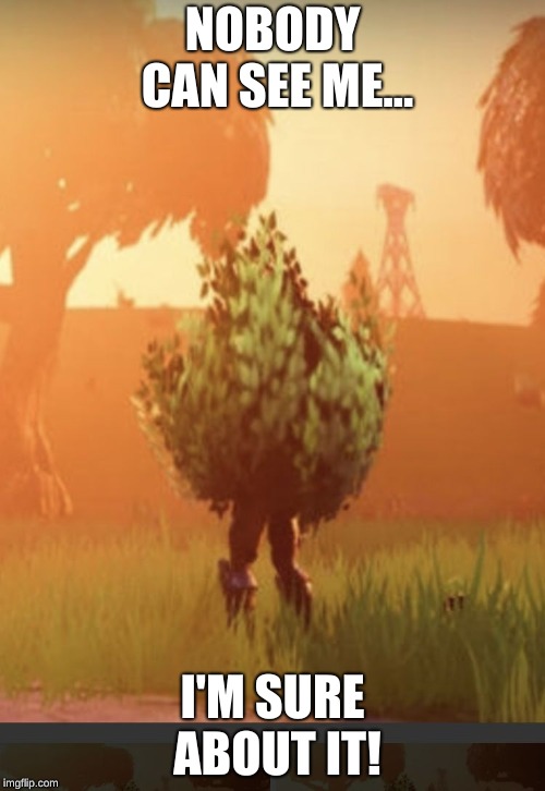 Fortnite bush | NOBODY CAN SEE ME... I'M SURE ABOUT IT! | image tagged in fortnite bush | made w/ Imgflip meme maker
