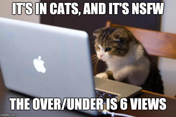 Cat using computer | IT'S IN CATS, AND IT'S NSFW; THE OVER/UNDER IS 6 VIEWS | image tagged in cat using computer | made w/ Imgflip meme maker