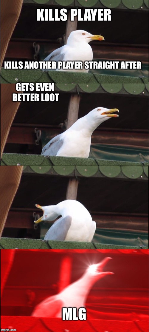 Inhaling Seagull Meme | KILLS PLAYER; KILLS ANOTHER PLAYER STRAIGHT AFTER; GETS EVEN BETTER LOOT; MLG | image tagged in memes,inhaling seagull | made w/ Imgflip meme maker