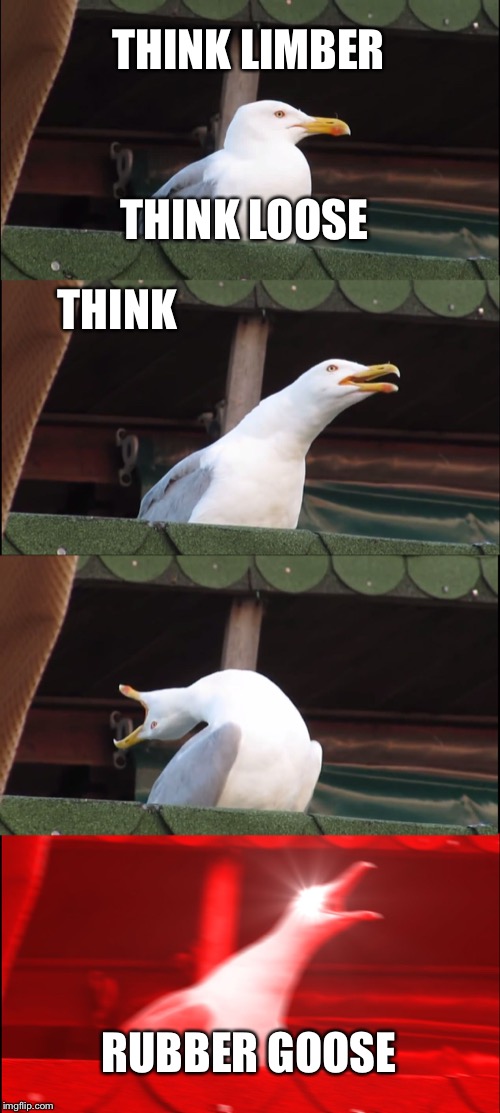 Inhaling Seagull | THINK LIMBER; THINK LOOSE; THINK; RUBBER GOOSE | image tagged in memes,inhaling seagull | made w/ Imgflip meme maker