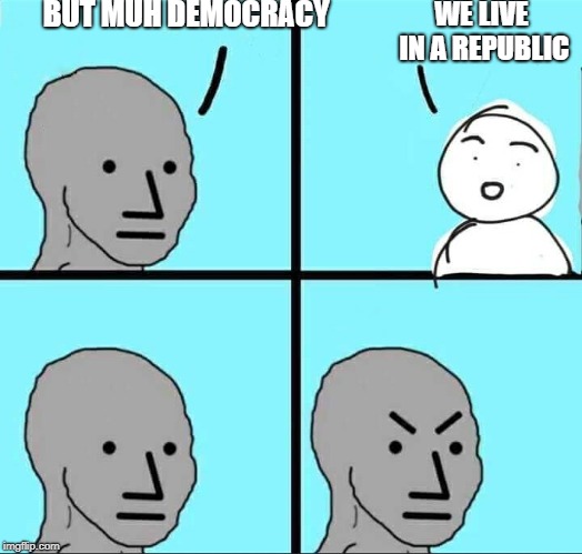 NPC Meme | BUT MUH DEMOCRACY; WE LIVE IN A REPUBLIC | image tagged in npc meme,memes,democrat party,democracy,republic,liberal hypocrisy | made w/ Imgflip meme maker