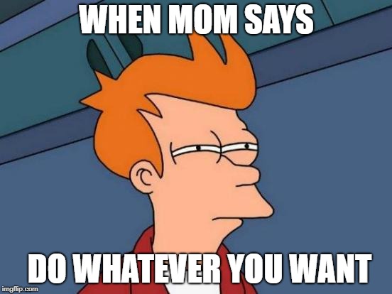 Futurama Fry | WHEN MOM SAYS; DO WHATEVER YOU WANT | image tagged in memes,futurama fry | made w/ Imgflip meme maker