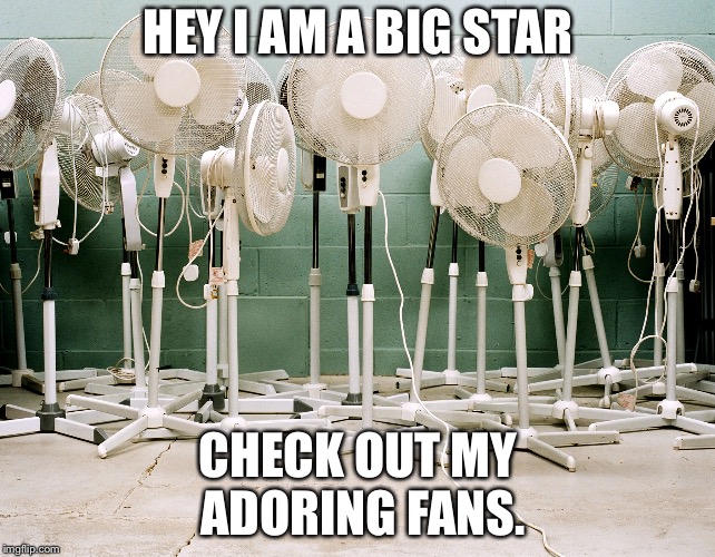 HEY I AM A BIG STAR; CHECK OUT MY ADORING FANS. | image tagged in adoring fans | made w/ Imgflip meme maker