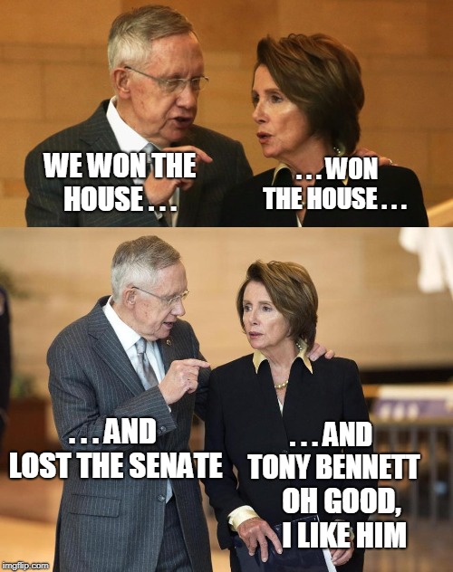 Harry and Nancy | . . . WON THE HOUSE . . . WE WON THE HOUSE . . . . . . AND LOST THE SENATE; . . . AND TONY BENNETT; OH GOOD, I LIKE HIM | image tagged in harry and nancy | made w/ Imgflip meme maker