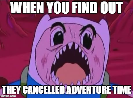 Finn The Human Meme | WHEN YOU FIND OUT; THEY CANCELLED ADVENTURE TIME | image tagged in memes,finn the human | made w/ Imgflip meme maker