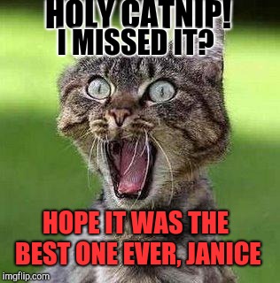 Shocked Cat | HOLY CATNIP! I MISSED IT? HOPE IT WAS THE BEST ONE EVER, JANICE | image tagged in shocked cat | made w/ Imgflip meme maker