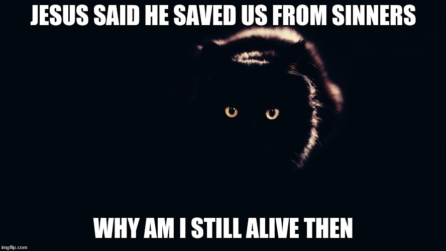 JESUS SAID HE SAVED US FROM SINNERS; WHY AM I STILL ALIVE THEN | image tagged in meme cat | made w/ Imgflip meme maker