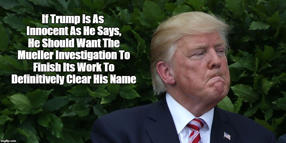 If Trump Is As Innocent As He Says, He Should Want The Mueller Investigation To Finish Its Work To Definitively Clear His Name | made w/ Imgflip meme maker