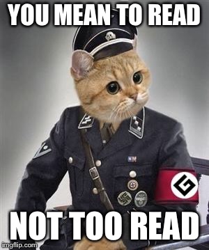 Grammar Nazi Cat | YOU MEAN TO READ NOT TOO READ | image tagged in grammar nazi cat | made w/ Imgflip meme maker