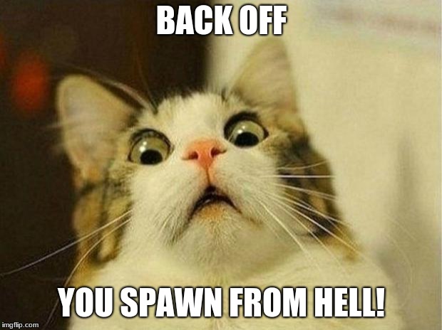 Scared Cat Meme | BACK OFF YOU SPAWN FROM HELL! | image tagged in memes,scared cat | made w/ Imgflip meme maker
