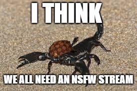 Scumbag Scorpion | I THINK WE ALL NEED AN NSFW STREAM | image tagged in scumbag scorpion | made w/ Imgflip meme maker