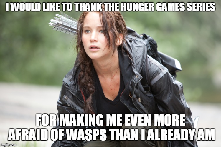Trackerjackersdon'texisttrackerjackersdon'texisttrackerjackersdon'texist | I WOULD LIKE TO THANK THE HUNGER GAMES SERIES; FOR MAKING ME EVEN MORE AFRAID OF WASPS THAN I ALREADY AM | image tagged in hunger games,wasp | made w/ Imgflip meme maker