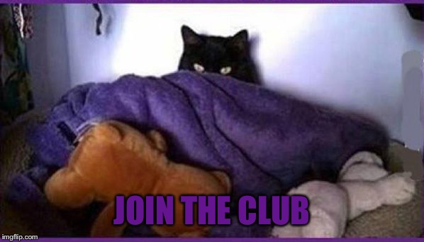 making plans | JOIN THE CLUB | image tagged in making plans | made w/ Imgflip meme maker