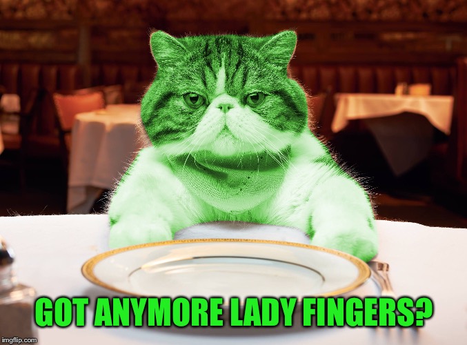 RayCat Hungry | GOT ANYMORE LADY FINGERS? | image tagged in raycat hungry | made w/ Imgflip meme maker