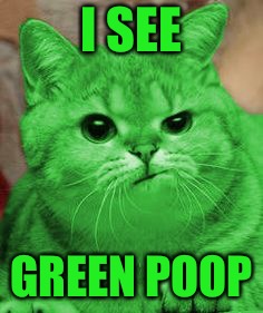 RayCat Annoyed | I SEE GREEN POOP | image tagged in raycat annoyed | made w/ Imgflip meme maker