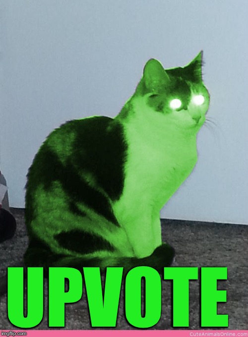 Hypno Raycat | UPVOTE | image tagged in hypno raycat | made w/ Imgflip meme maker
