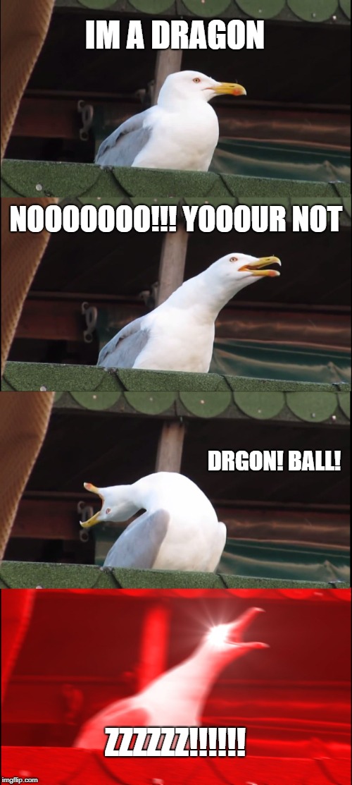 Inhaling Seagull Meme | IM A DRAGON; NOOOOOOO!!! YOOOUR NOT; DRGON!
BALL! ZZZZZZ!!!!!! | image tagged in memes,inhaling seagull | made w/ Imgflip meme maker